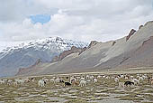 The road from Leh to Manali 